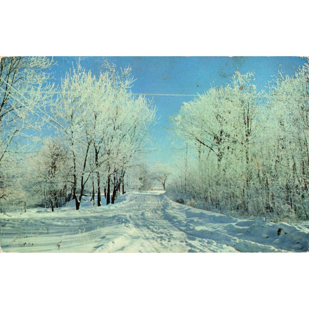 Adirondack Mountains New York NY Winter Snow Scene Vtg Chrome Postcard Unposted - Picture 1 of 2